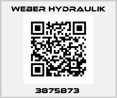 3875873  Weber Hydraulik