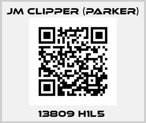 13809 H1L5  Jm Clipper (Parker)