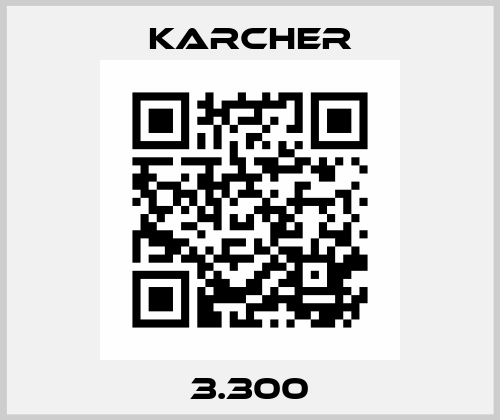 3.300 Karcher