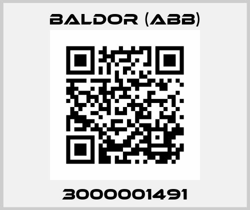 3000001491 Baldor (ABB)