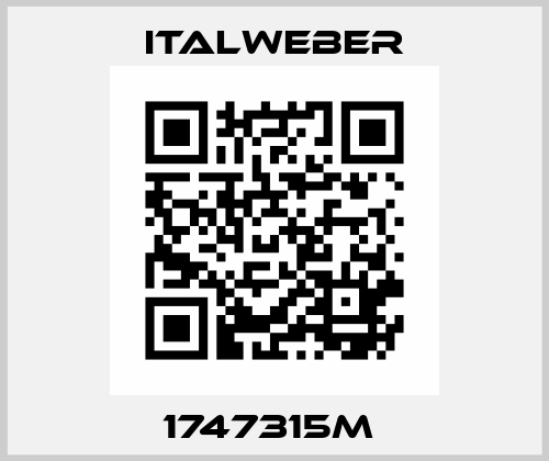 1747315M  Italweber