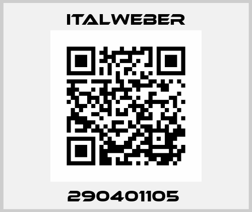 290401105  Italweber