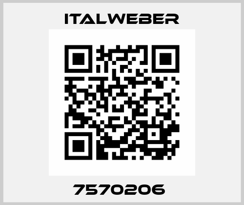 7570206  Italweber