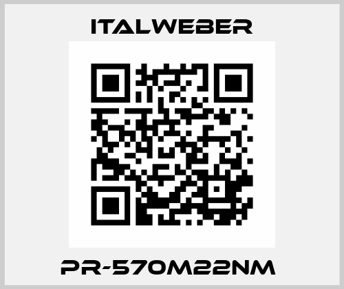 PR-570M22NM  Italweber