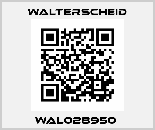 WAL028950  Walterscheid