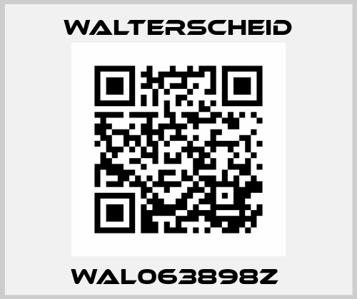 WAL063898Z  Walterscheid