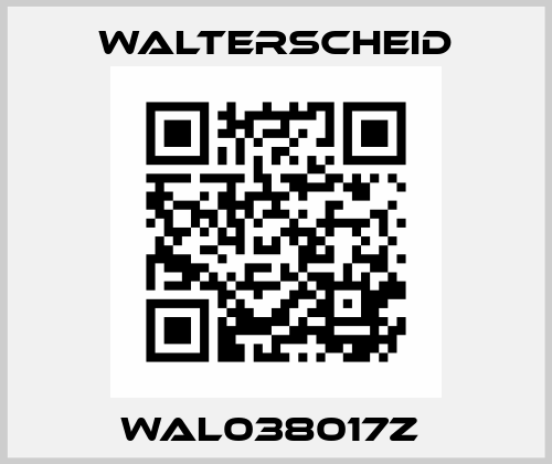 WAL038017Z  Walterscheid