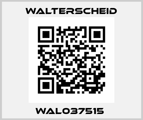 WAL037515  Walterscheid