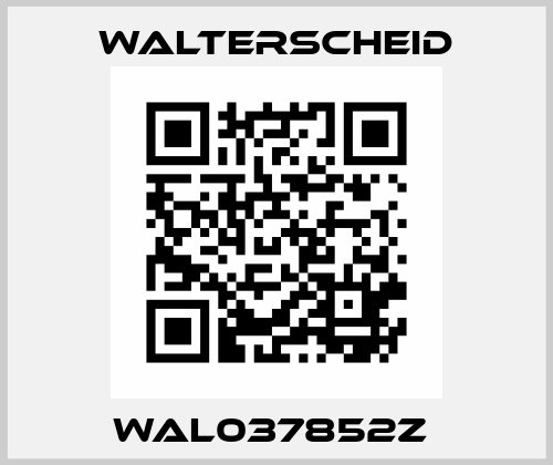 WAL037852Z  Walterscheid