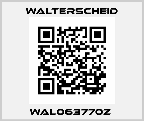 WAL063770Z  Walterscheid