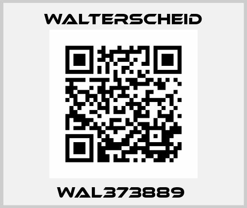 WAL373889  Walterscheid