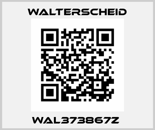 WAL373867Z  Walterscheid
