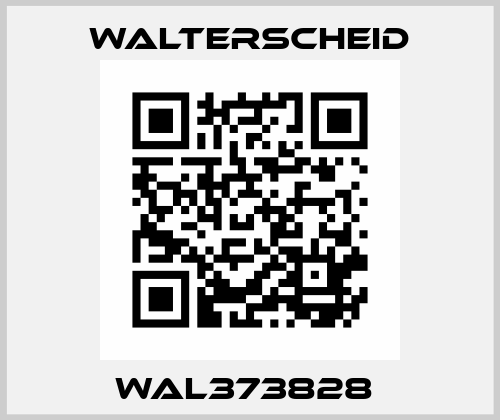 WAL373828  Walterscheid