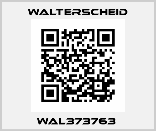 WAL373763  Walterscheid