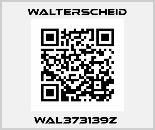 WAL373139Z  Walterscheid