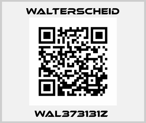 WAL373131Z  Walterscheid
