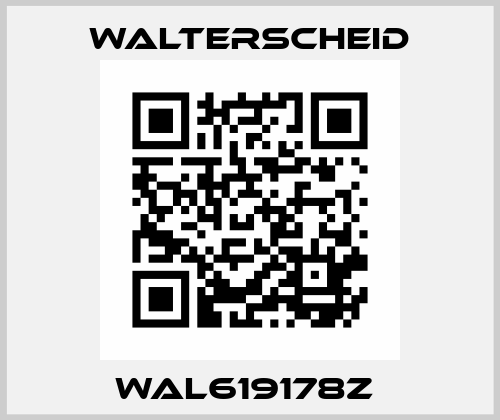 WAL619178Z  Walterscheid