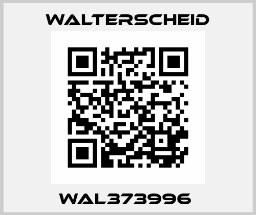 WAL373996  Walterscheid