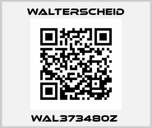 WAL373480Z  Walterscheid