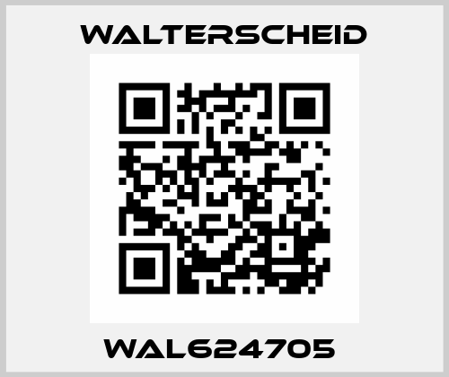 WAL624705  Walterscheid