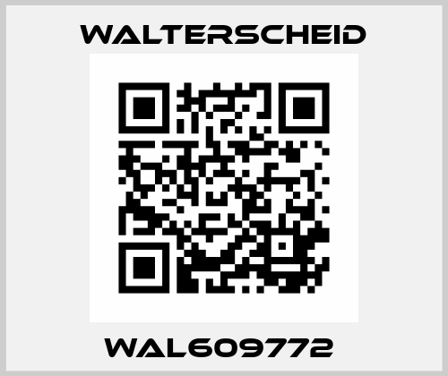 WAL609772  Walterscheid