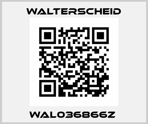 WAL036866Z  Walterscheid