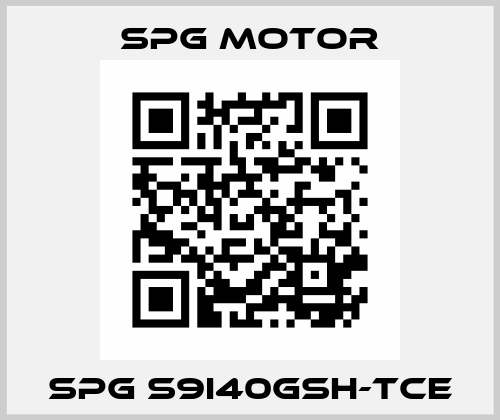 SPG S9I40GSH-TCE Spg Motor