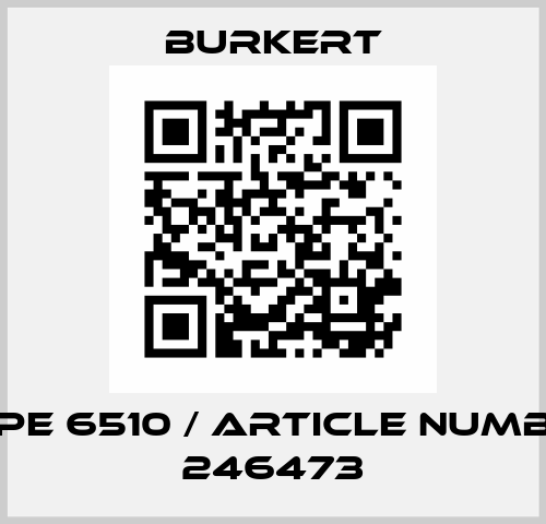 Type 6510 / Article number 246473 Burkert