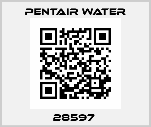 28597  Pentair Water
