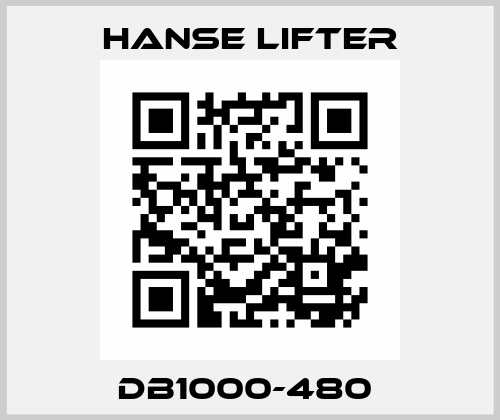 DB1000-480  Hanse Lifter