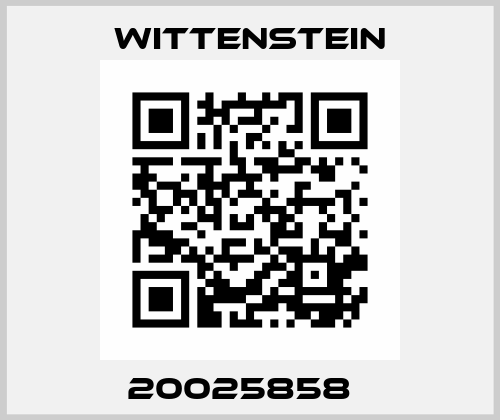 20025858   Wittenstein