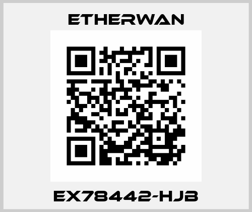 EX78442-HJB Etherwan