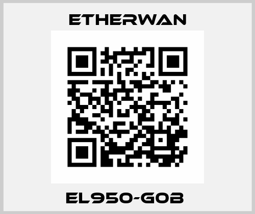 EL950-G0B  Etherwan