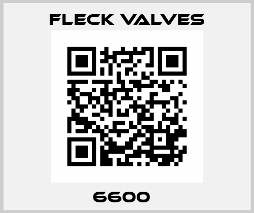 6600   Fleck Valves