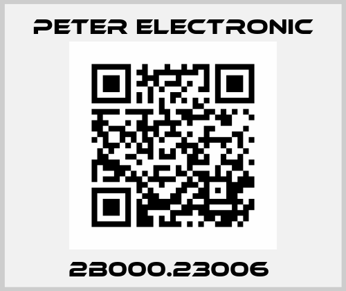2B000.23006  Peter Electronic