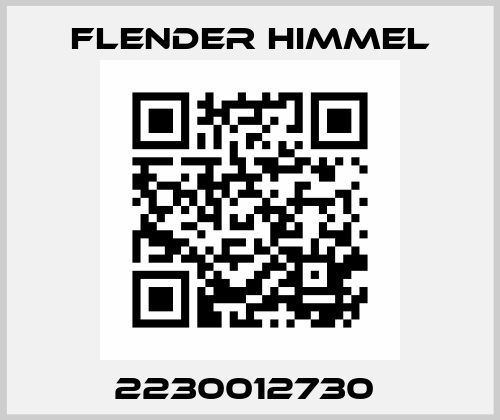 2230012730  Flender Himmel