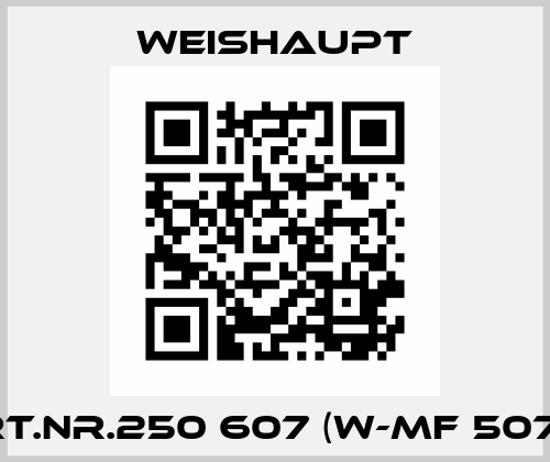 Art.Nr.250 607 (W-MF 507 C) Weishaupt