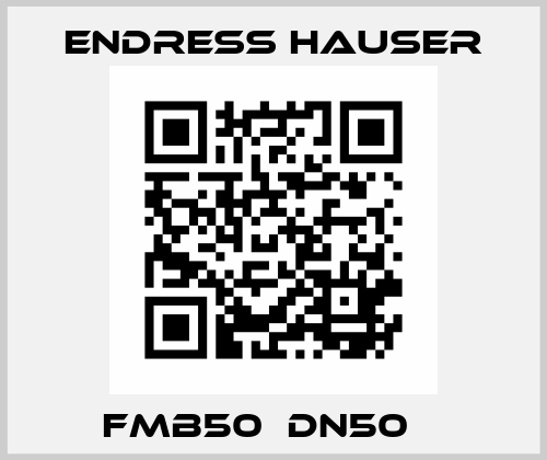 FMB50  DN50    Endress Hauser