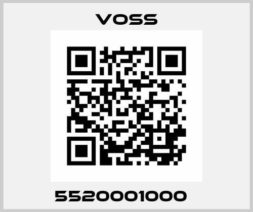5520001000   Voss