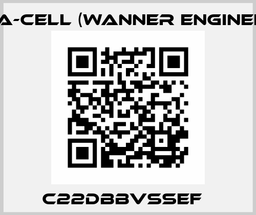 C22DBBVSSEF   Hydra-Cell (Wanner Engineering)