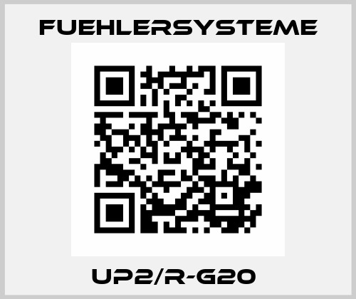 UP2/R-G20  FuehlerSysteme