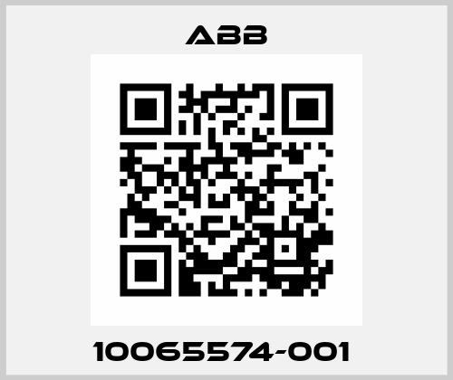 10065574-001  ABB