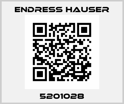 5201028 Endress Hauser