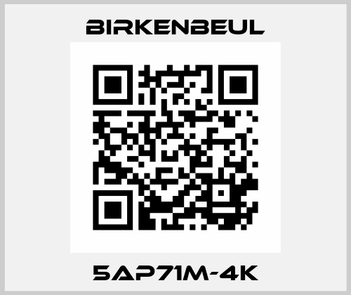 5AP71M-4K Robert Birkenbeul