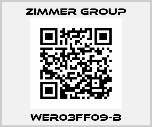 WER03FF09-B Zimmer Group