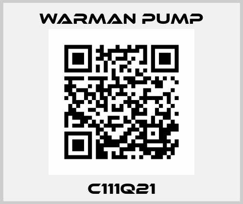 C111Q21 Warman Pump
