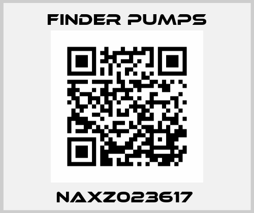 NAXZ023617  Finder Pumps