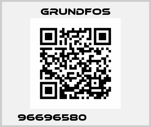 96696580               Grundfos