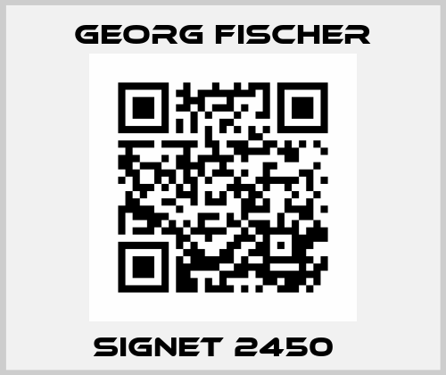 SIGNET 2450   Georg Fischer