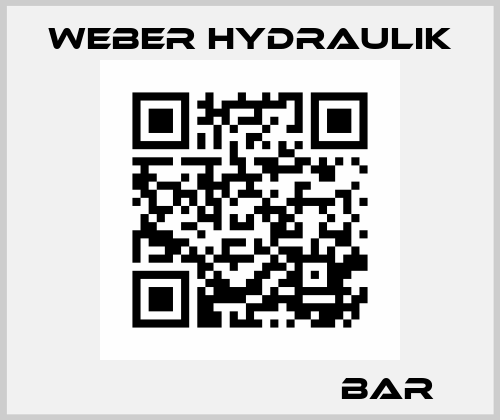 ＤＰＨ１０３０－１４（６３０bar）  Weber Hydraulik